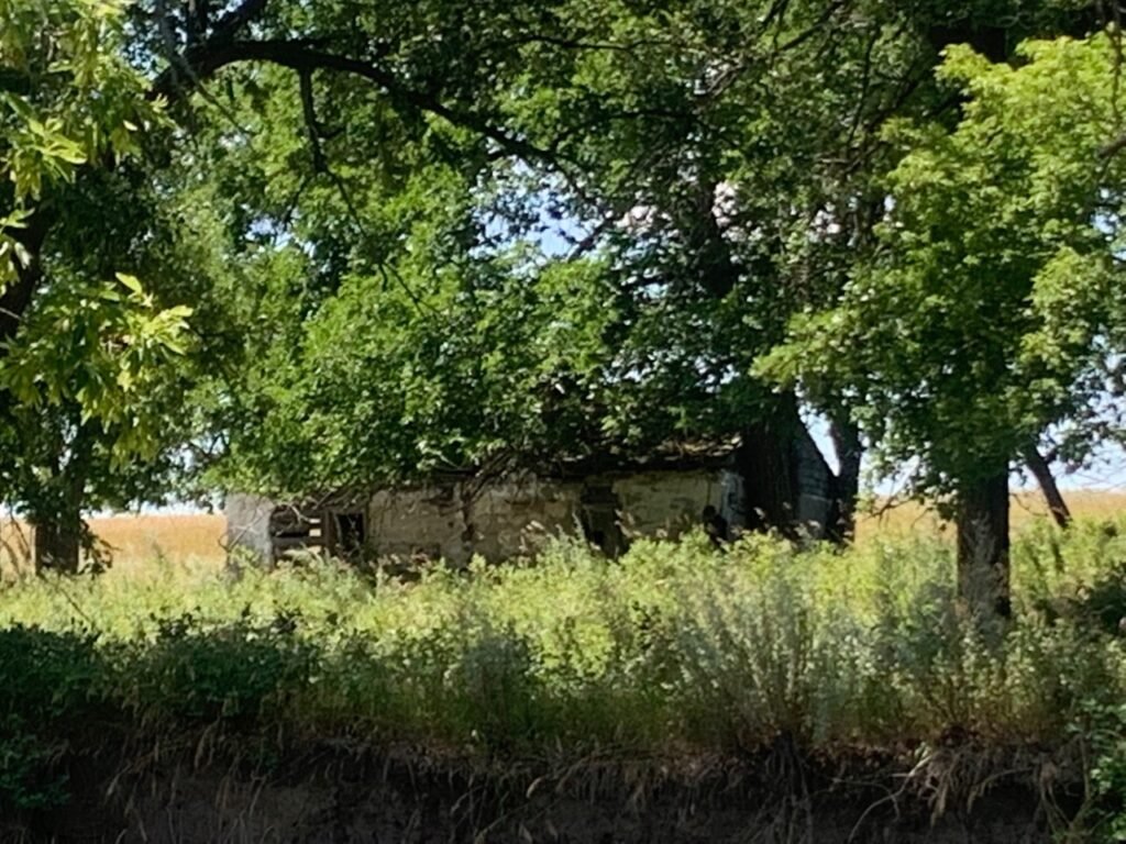 Cournoyer cabin near Ponca Creek
